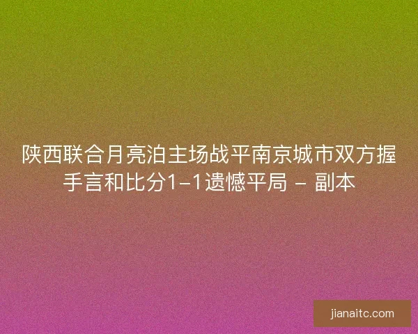 陕西联合月亮泊主场战平南京城市双方握手言和比分1-1遗憾平局 - 副本