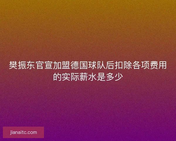 樊振东官宣加盟德国球队后扣除各项费用的实际薪水是多少