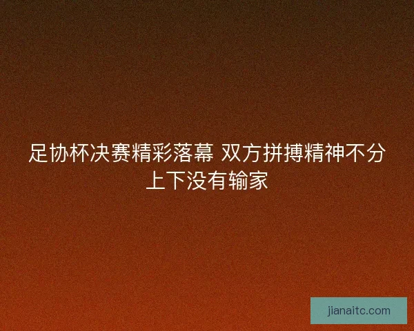 足协杯决赛精彩落幕 双方拼搏精神不分上下没有输家